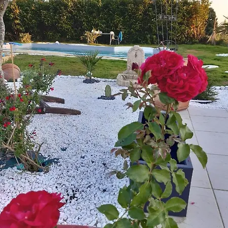 Cocooning Apartamento