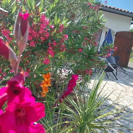 Cocooning Appartement Seyresse