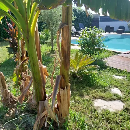 Appartement Cocooning *