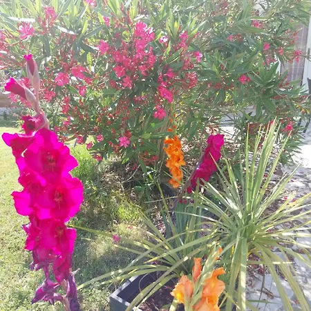 Cocooning Appartement *