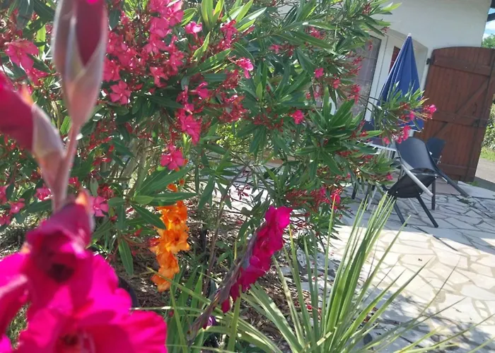 Cocooning Appartement Seyresse