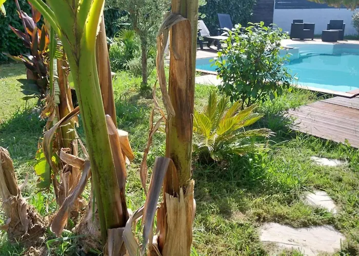 Appartement Cocooning *