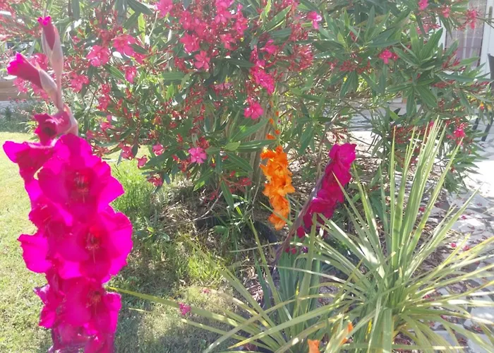 Cocooning Appartement *